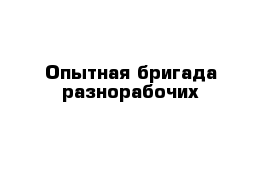 Опытная бригада разнорабочих